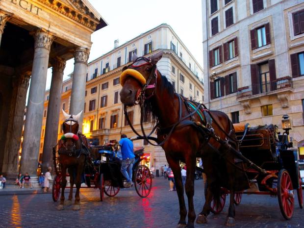 11754435_10153436704974123_7366679236441212265_o