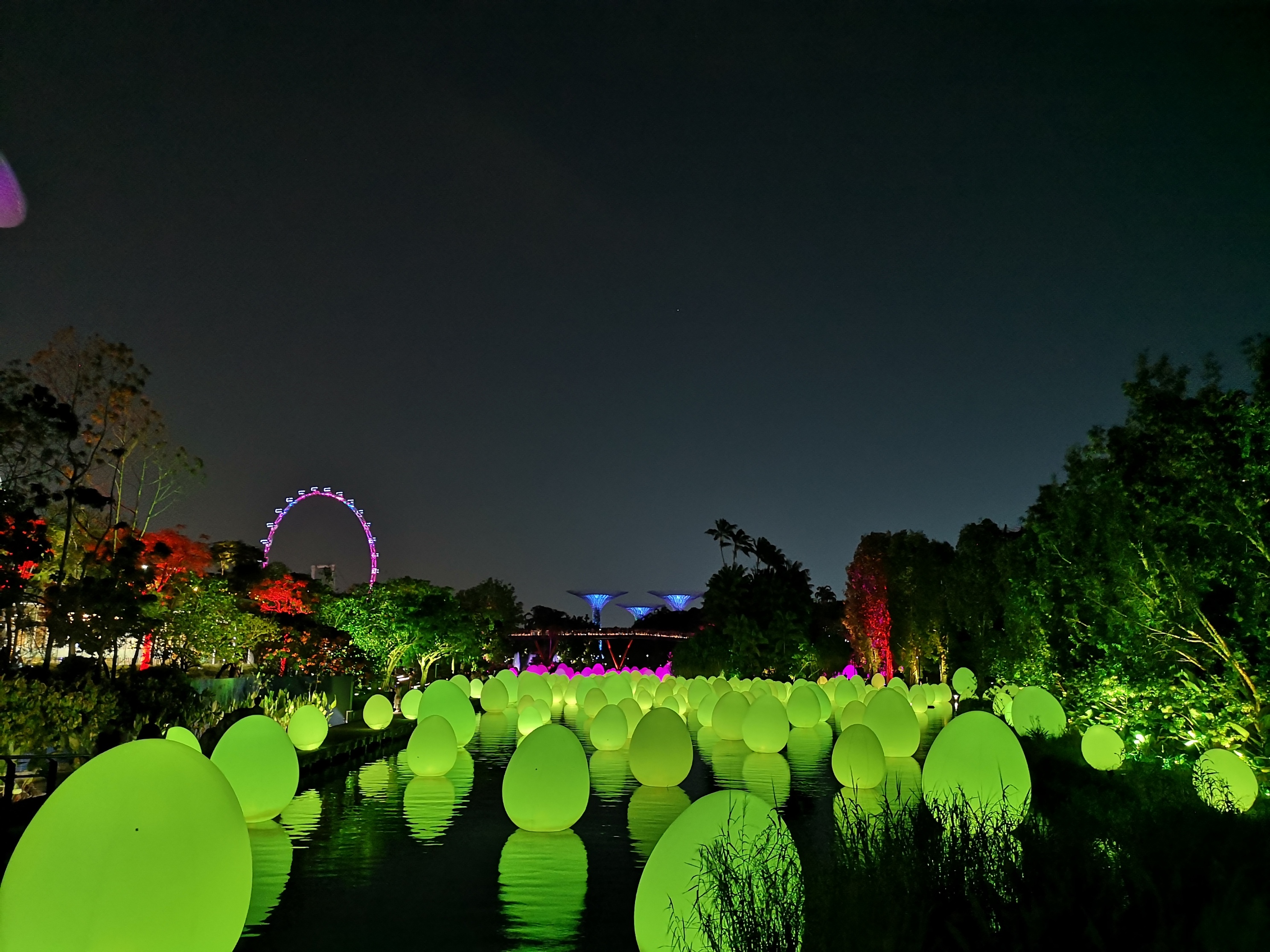 IMG_20200117_200603_resized_20200422_120916164